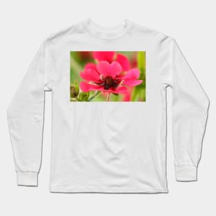 Potentilla nepalensis  Nepal Cinquefoil Long Sleeve T-Shirt